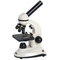 Mikroskope & Zubehr
