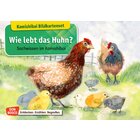 Kamishibai Bildkartenset - Kami Das Huhn, 6 bis 12 Jahre