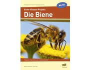 Erste-Klasse-Projekt: Die Biene - Broschre