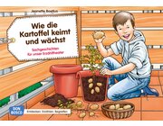 Kamishibai Bildkartenset - Wie die Kartoffel keimt und wchst, 4-8 Jahre