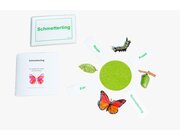 Lebenszyklus Schmetterling, im Baumwollsckchen, BM