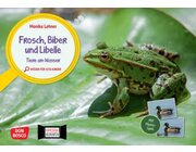 Frosch, Biber und Libelle. Tiere am Wasser. Kamishibai Bildkarten und Memo-Spiel, ab 3 Jahre