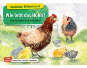 Kamishibai Bildkartenset - Kami Das Huhn, 6 bis 12 Jahre