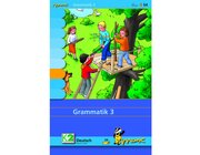 Max Lernkarten Grammatik 3, ab 8 Jahre