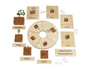 TimeTEX Lebenszyklus Bohnen-Pflanze, Lernspiel in Holzbox