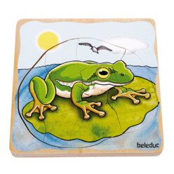 Lagenpuzzle Frosch, 4-7 Jahre