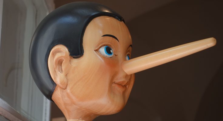 Kopf eines Pinocchio.