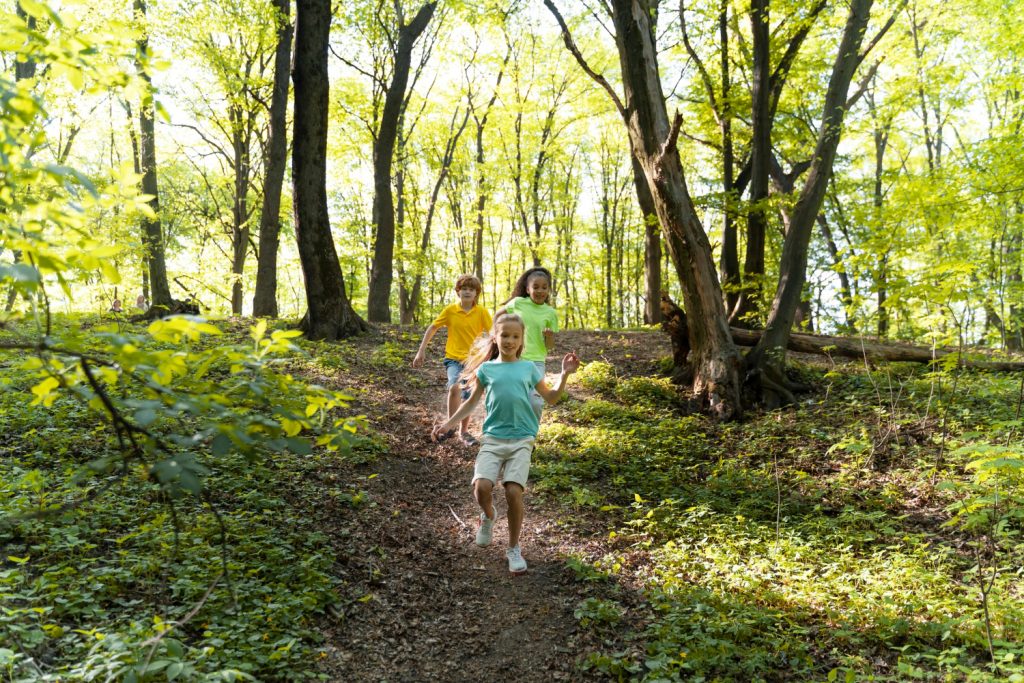 Drei Kinder gehen einen Waldweg in Richtung Kamera.