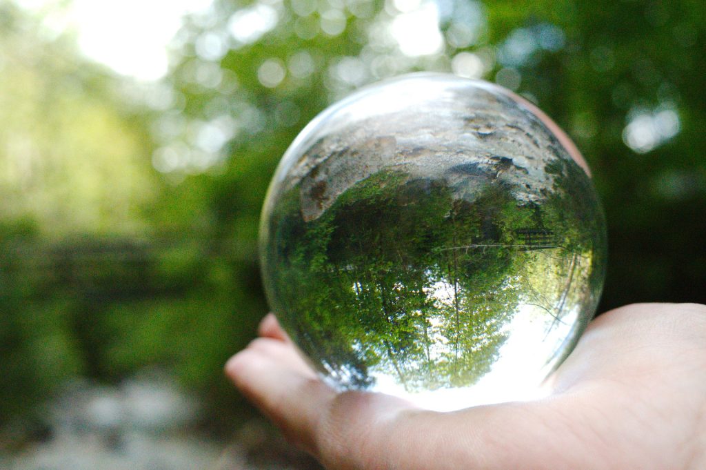 Eine Glaskugel spiegelt den Wald kopfüber.