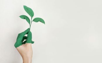 Eine grüne Hand hält ein grünes Blatt vor weißem Hintergrund.