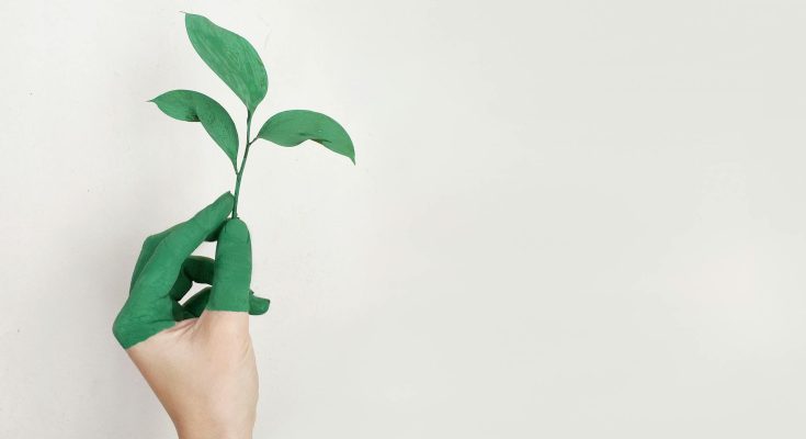 Eine grüne Hand hält ein grünes Blatt vor weißem Hintergrund.